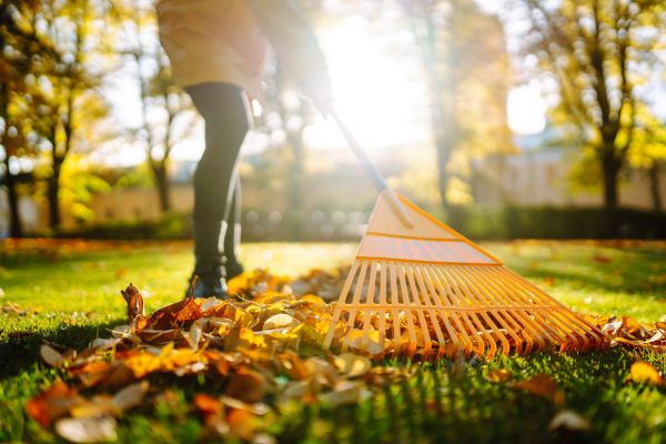 Leaf Sweeping Service