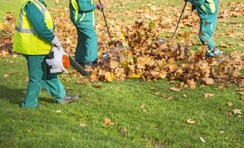 Leaf Sweeping