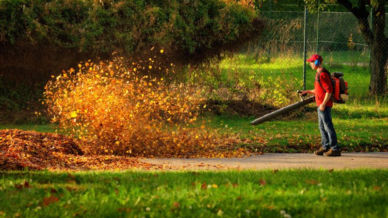 Leaf Sweeping