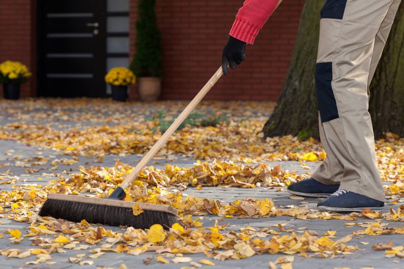 Leaf Sweeping