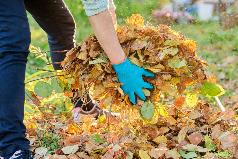 Leaf Sweeping