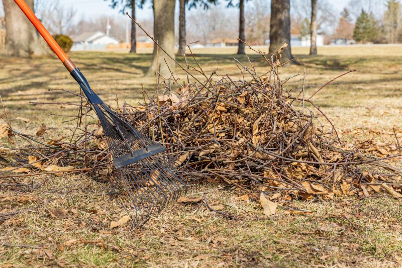 Leaf Sweeping