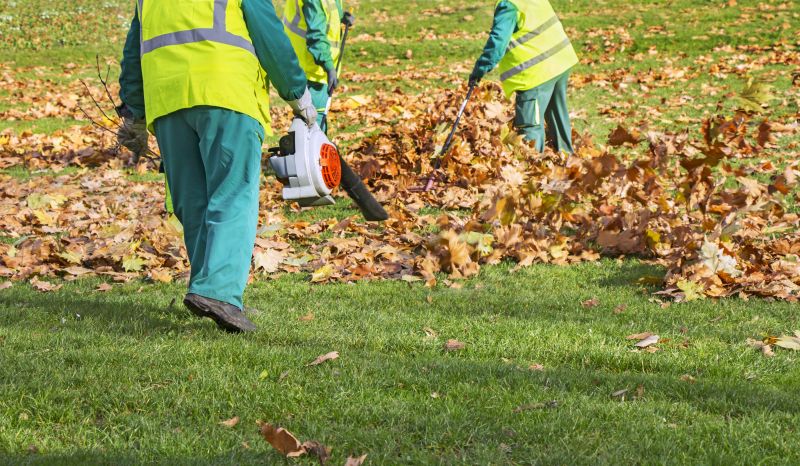 During Leaf Sweeping